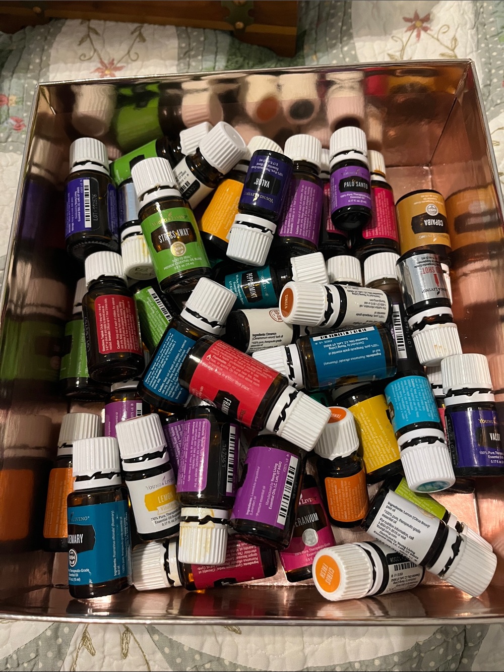 Empty essential oils bottles